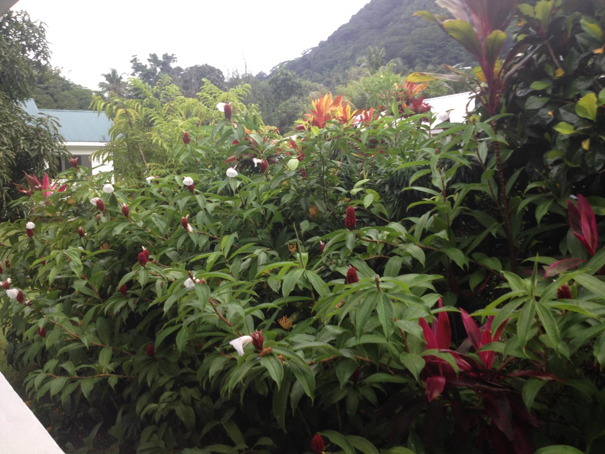 Marl Self Catering * Pointe La Rue